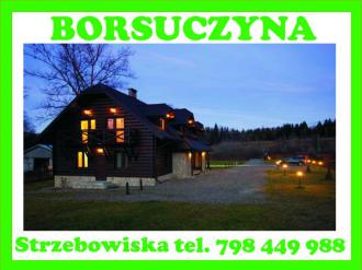Banner obiektu Dom Gościnny Borsuczyna